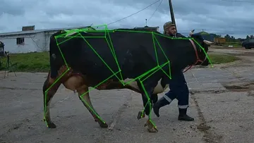 Зарегистрирована уникальная база данных для обучения AI-моделей в животноводстве